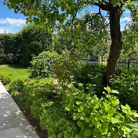 здравец Trjavna