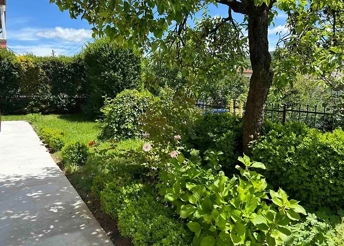 здравец Trjavna